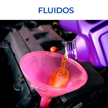 FLUIDOS